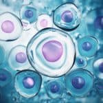 Cells under microscope Cells under microscope