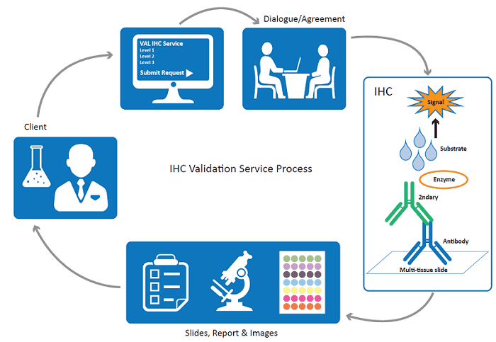 IHC Service IHC Service