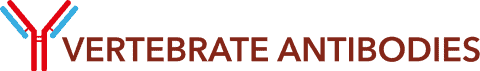 Vertebrate Antibodies Limited Logo